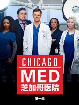 芝加哥医院第一季-全集高清在线观看