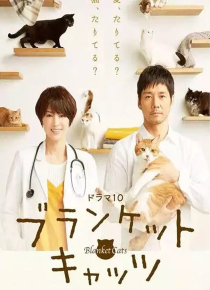 毛毯猫-全集高清在线观看