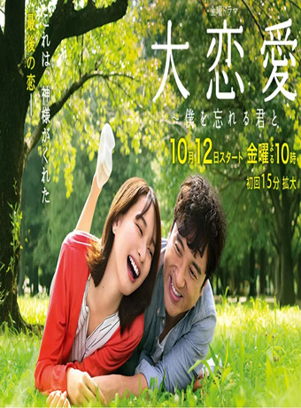 大恋爱/大恋爱～和忘记了我的你-全集高清在线观看