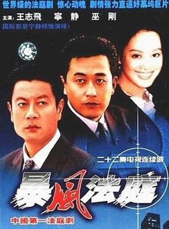暴风法庭-全集高清在线观看