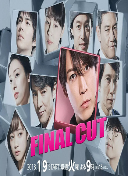 最终剪辑/FINALCUT-全集高清在线观看