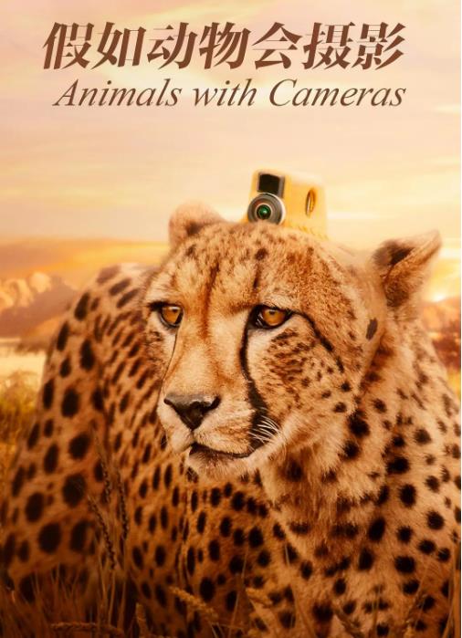 假如动物会摄影-全集高清在线观看