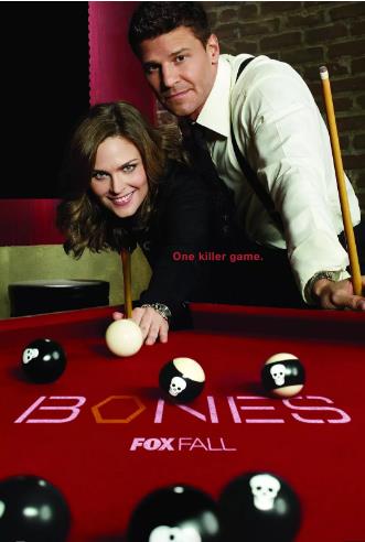 识骨寻踪第十季-全集高清在线观看