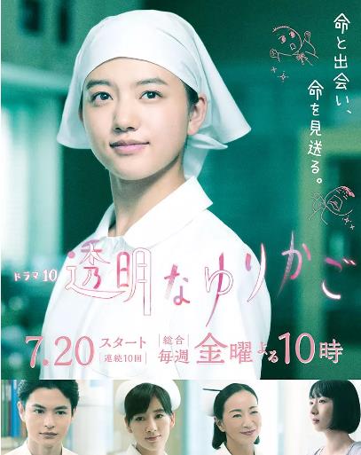 透明的摇篮-全集高清在线观看
