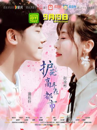 护花高手在都市电视剧-全集高清在线观看