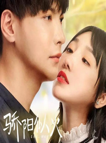 骄阳似火-全集高清在线观看