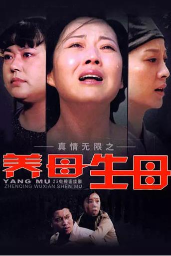 真情无限之养母生母-全集高清在线观看