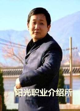 阳光职业介绍所-全集高清在线观看