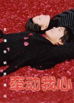 牵动我心-全集高清在线观看