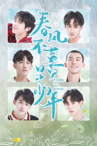 春风不喜是少年-全集高清在线观看