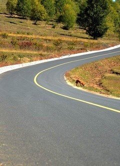 一条道走到亮-全集高清在线观看