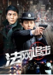 法网追击-全集高清在线观看