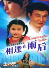 相逢在雨后-全集高清在线观看