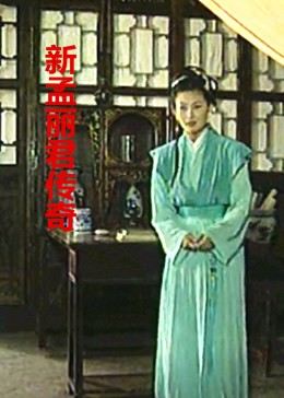 新孟丽君传奇-全集高清在线观看