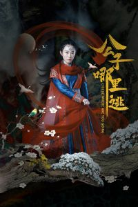 公子哪里逃-全集高清在线观看