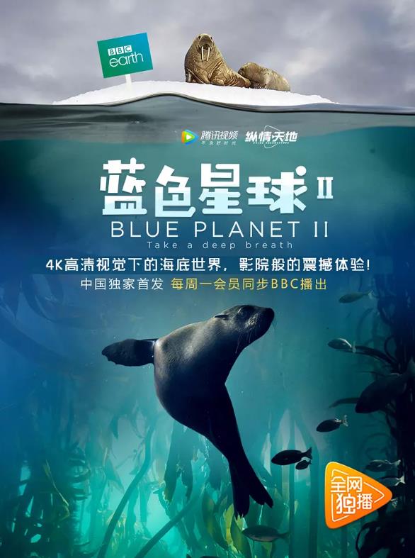 蓝色星球第二季-全集高清在线观看