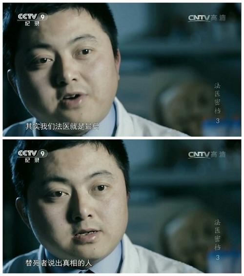 法医密档-全集高清在线观看