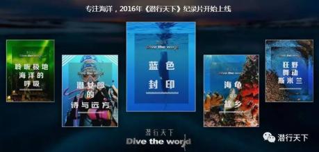 潜行天下-全集高清在线观看