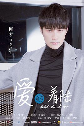 爱的着陆-全集高清在线观看