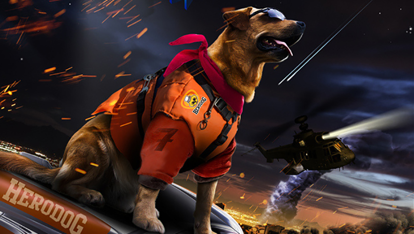 神犬小七-全集高清在线观看