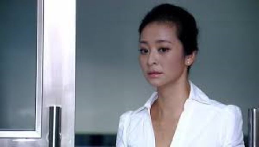 永释我爱-全集高清在线观看