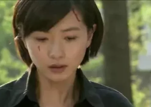 特种兵之火凤凰 TV版-全集高清在线观看