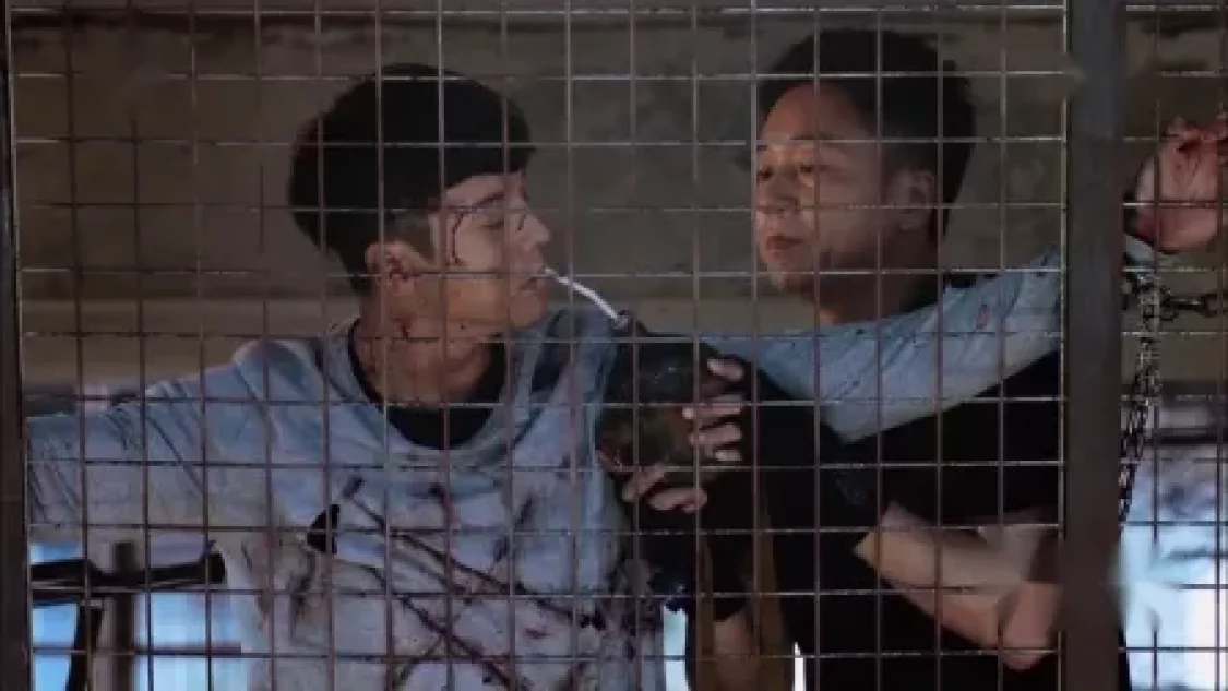 橙红年代 TV版-全集高清在线观看