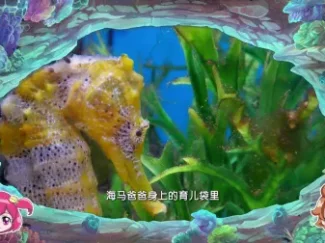 巴啦啦小魔仙之魔法海洋馆-全集高清在线观看