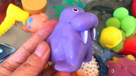 小马识动物-全集高清在线观看