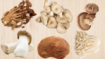 乐宝识果蔬-全集高清在线观看