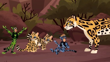 动物兄弟 第六季-全集高清在线观看