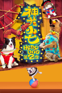 神犬小七第二季-全集高清在线观看