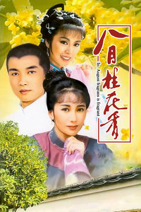 八月桂花香-全集高清在线观看