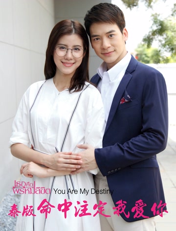 泰版命中注定我爱你普通话版-全集高清在线观看