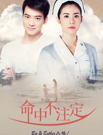 命中不注定普通话版-全集高清在线观看