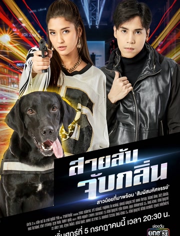 侦探k9普通话版-全集高清在线观看