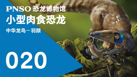PNSO恐龙博物馆-小型肉食恐龙-全集高清在线观看