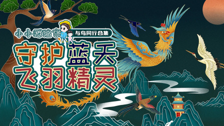 与鸟同行合集：守护蓝天飞羽精灵-全集高清在线观看