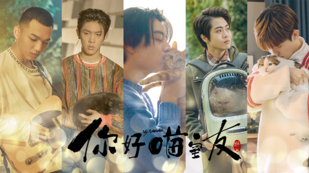 你好，喵室友-全集高清在线观看