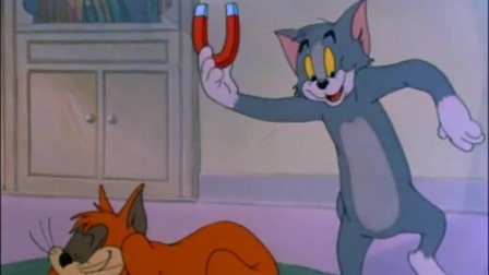 猫和老鼠 落汤猫-全集高清在线观看