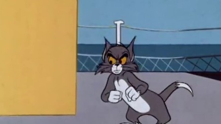 猫和老鼠 老鼠学校-全集高清在线观看