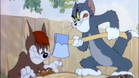 猫和老鼠 逍遥猫-全集高清在线观看