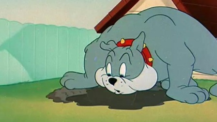 猫和老鼠 老鼠和狮子-全集高清在线观看