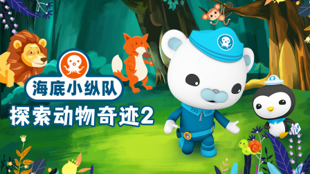 海底小纵队探索动物奇迹 第二季-全集高清在线观看