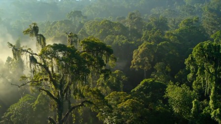 瞰世界：地球秘境-全集高清在线观看