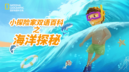 小探险家双语百科之海洋探秘-全集高清在线观看
