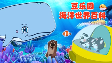 豆乐园海洋世界百科-全集高清在线观看