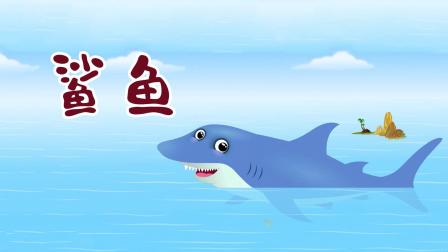 阿布小课堂 海洋动物大探险-全集高清在线观看
