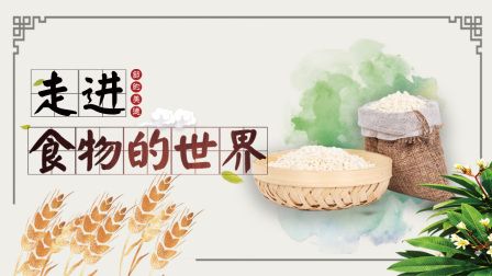 走进食物的世界-全集高清在线观看