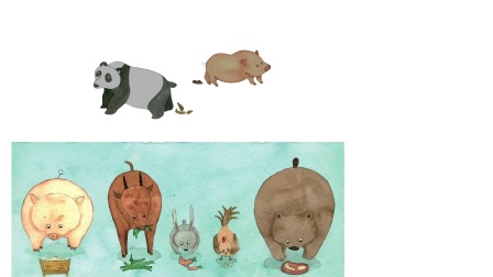 奇妙的人体-全集高清在线观看